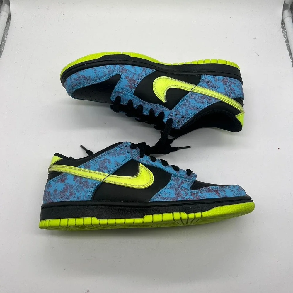 Nike dunk low 